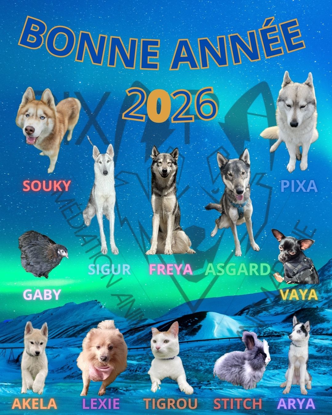 2026 : nouvelle année, nouveau cycle, nouveaux objectifs